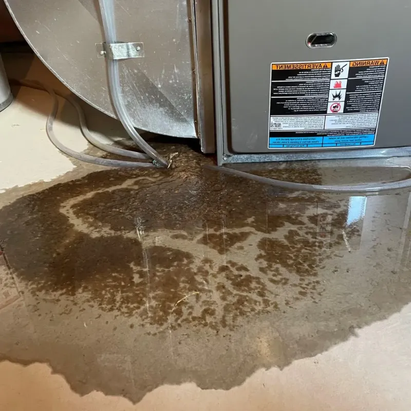 Pipe Burst and Leak Restoration in Beachwood, OH